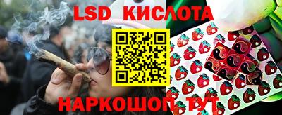 СК Абинск