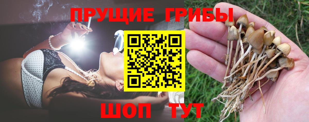 Галлюциногенные грибы Magic Shrooms  Вход с VPN  Галлюциногенные грибы ЛСД  Анжеро-Судженск 
